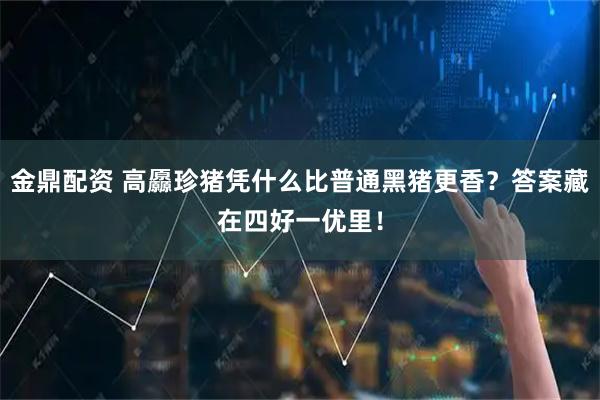 金鼎配资 高厵珍猪凭什么比普通黑猪更香？答案藏在四好一优里！