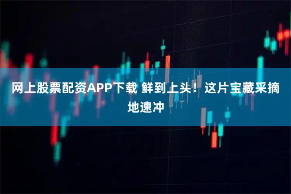 网上股票配资APP下载 鲜到上头！这片宝藏采摘地速冲
